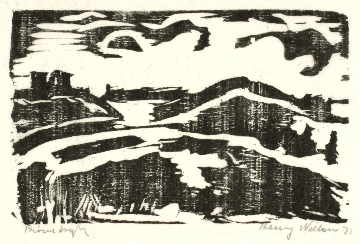 Landschap met heuvels door Henry Nielsen