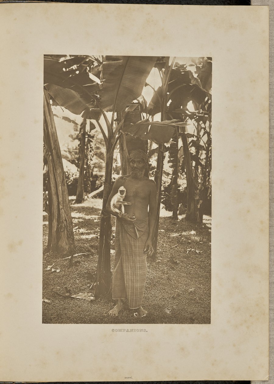 Metgezellen door Henry W. Cave