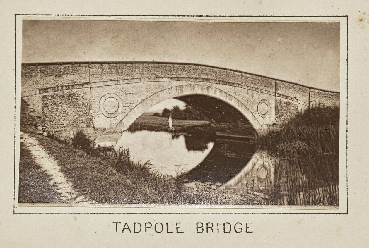 Kikkervisjesbrug door Henry W. Taunt