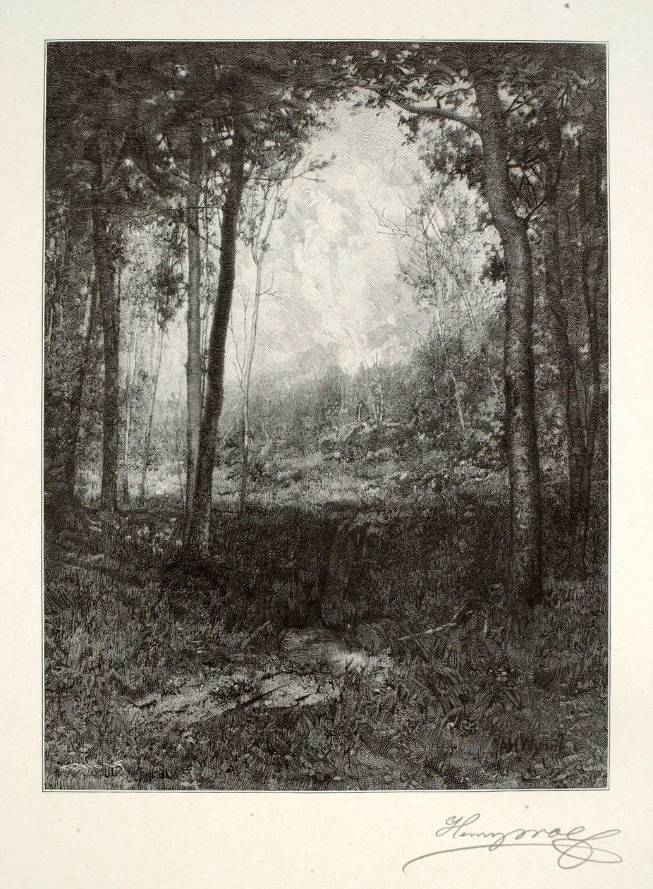 In de Adirondacks door Henry Wolf