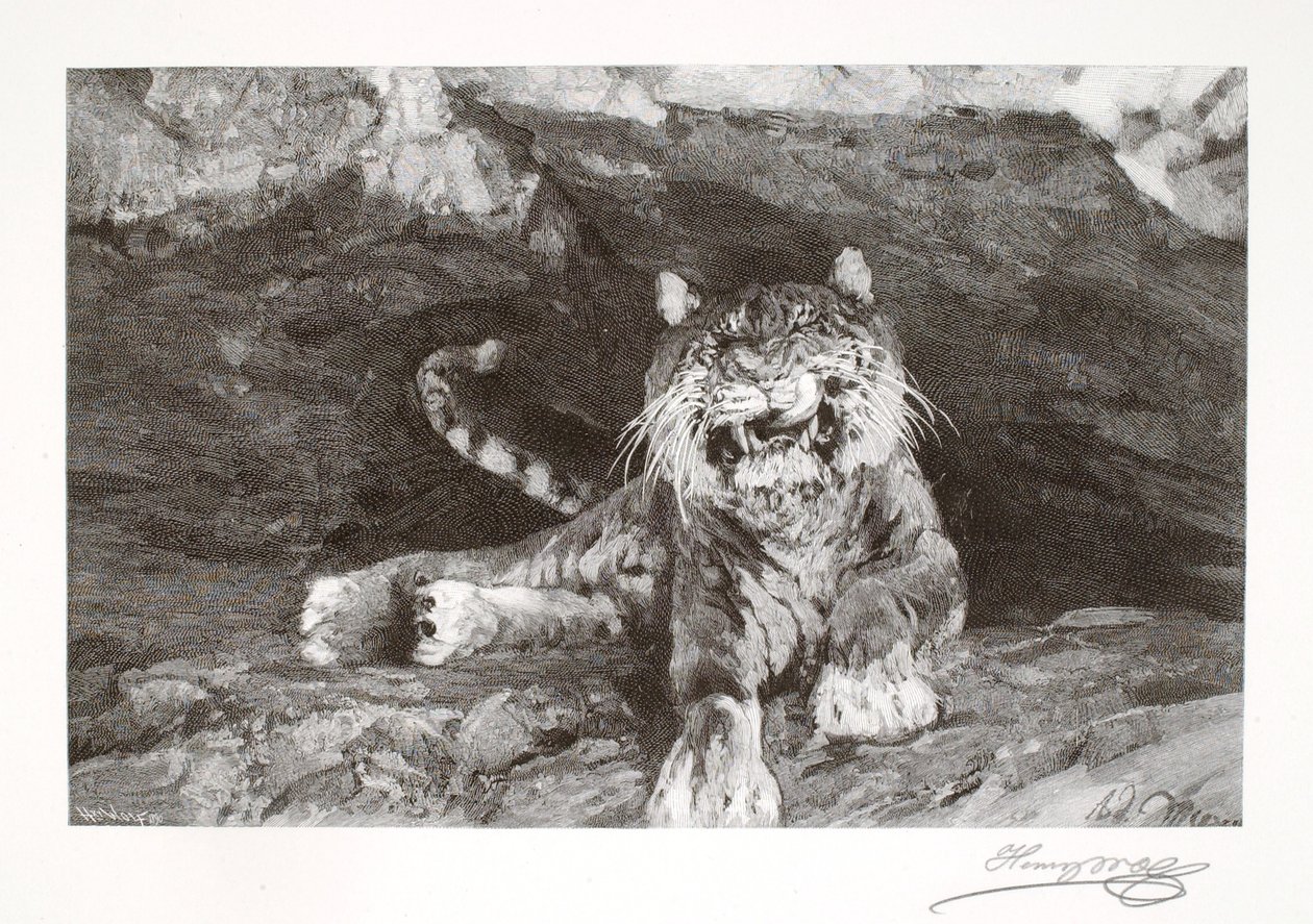 Tijger door Henry Wolf