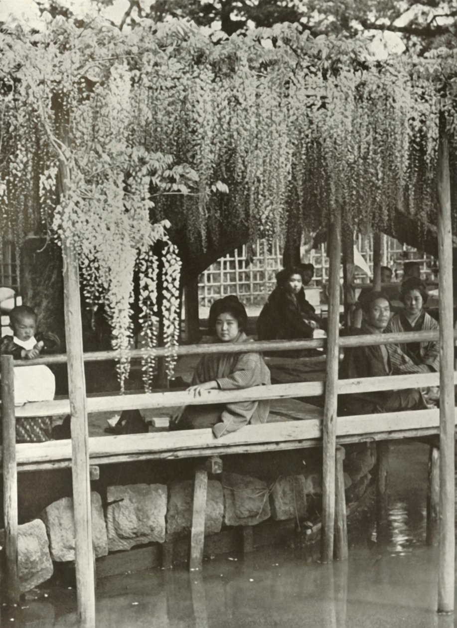Een Wisteria-prieel in Kameido door Herbert Ponting