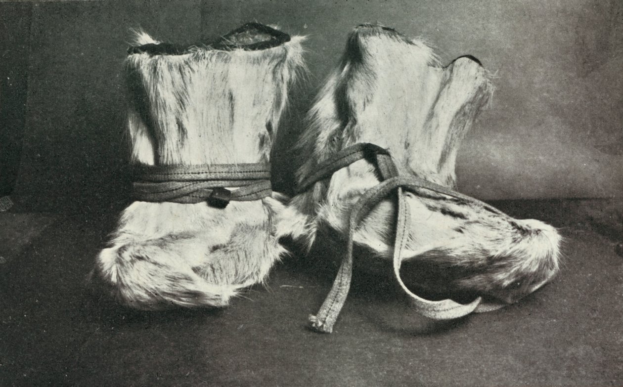 Finnesko door Herbert Ponting