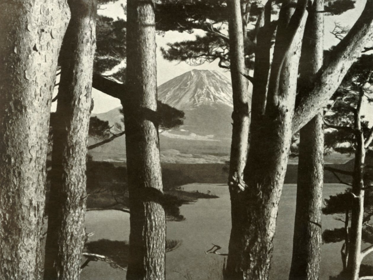 Fuji en de Pijnbomen, 1910 door Herbert Ponting