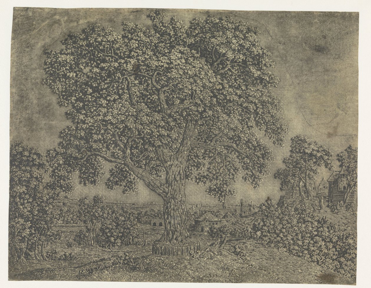 De Grote Boom door Hercules Segers