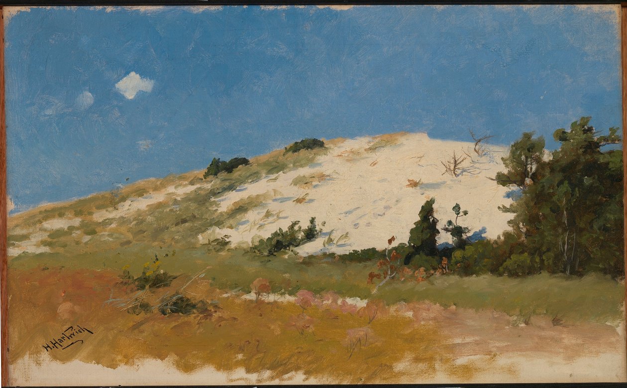 Cape Cod, Zandduin door Herman Hartwich