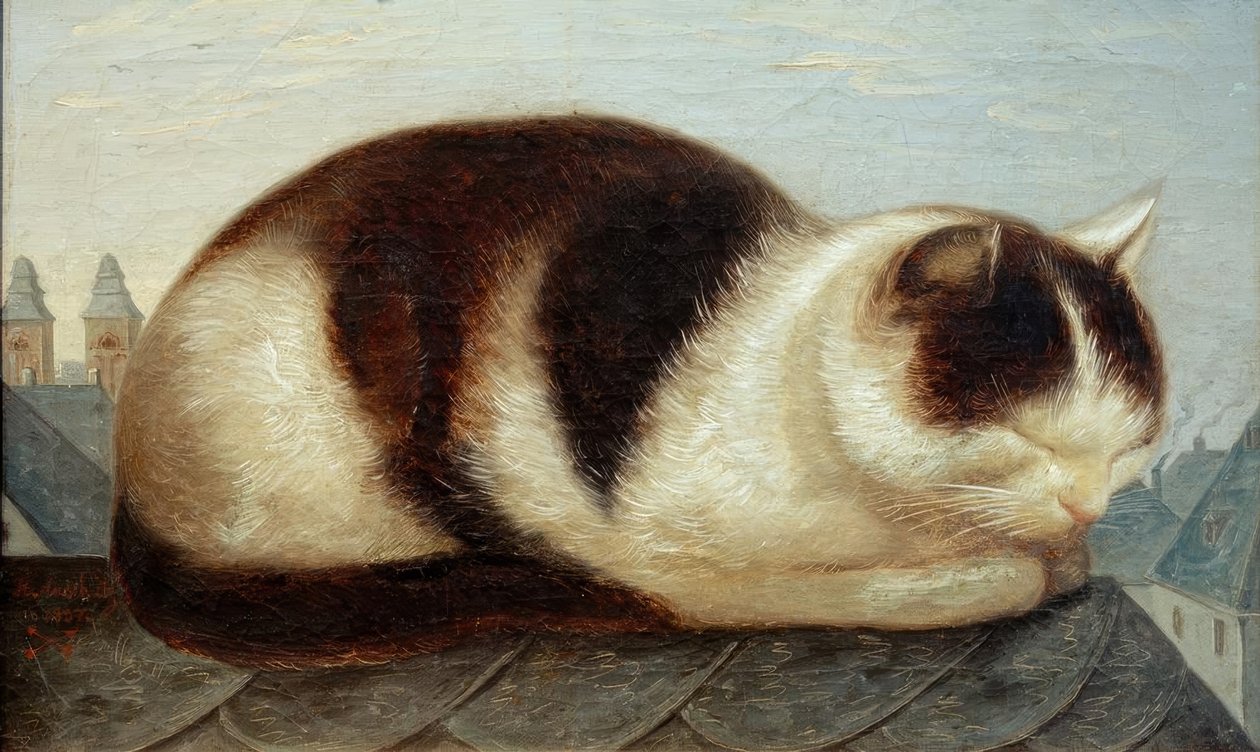 Kat door Hermann Anschütz