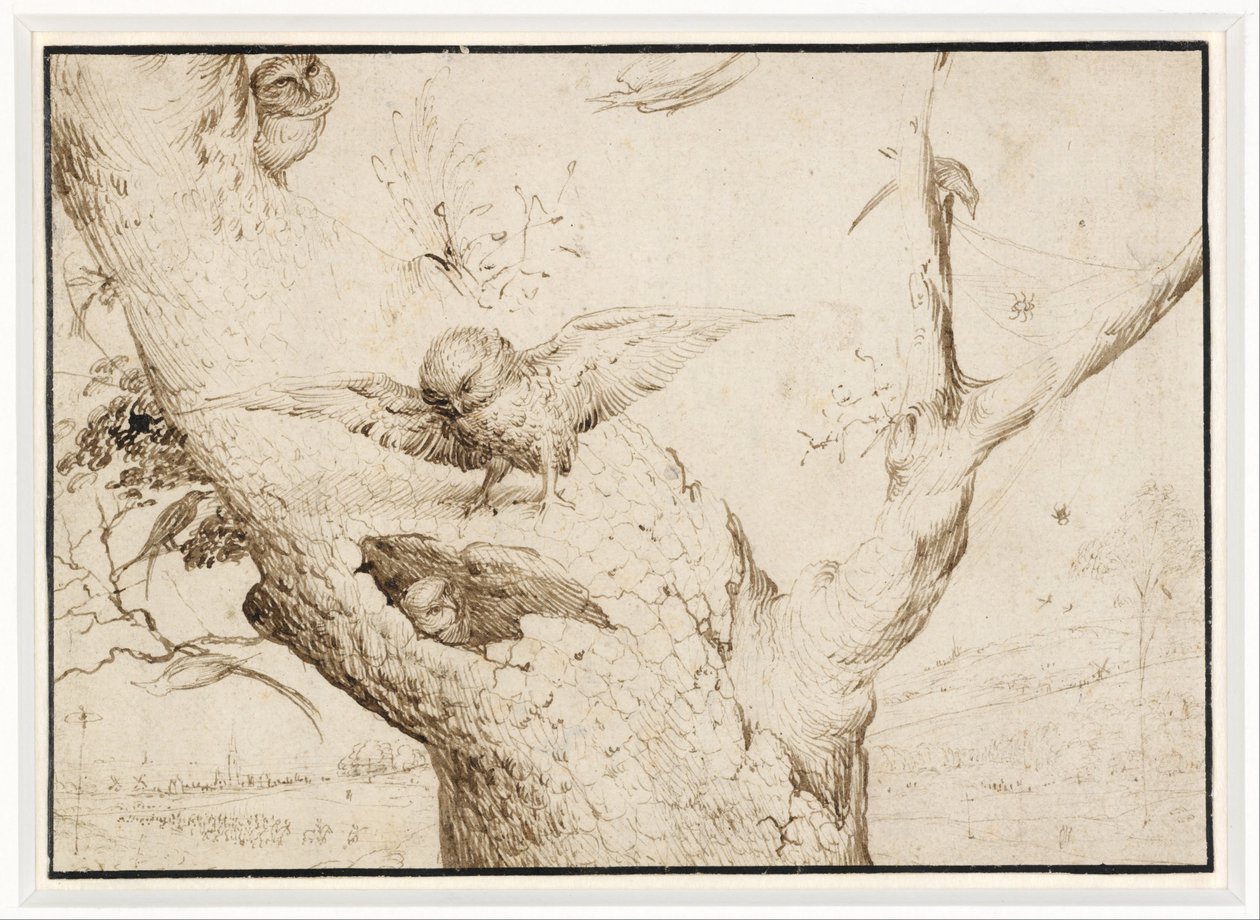 Het Uilennest door Hieronymus Bosch