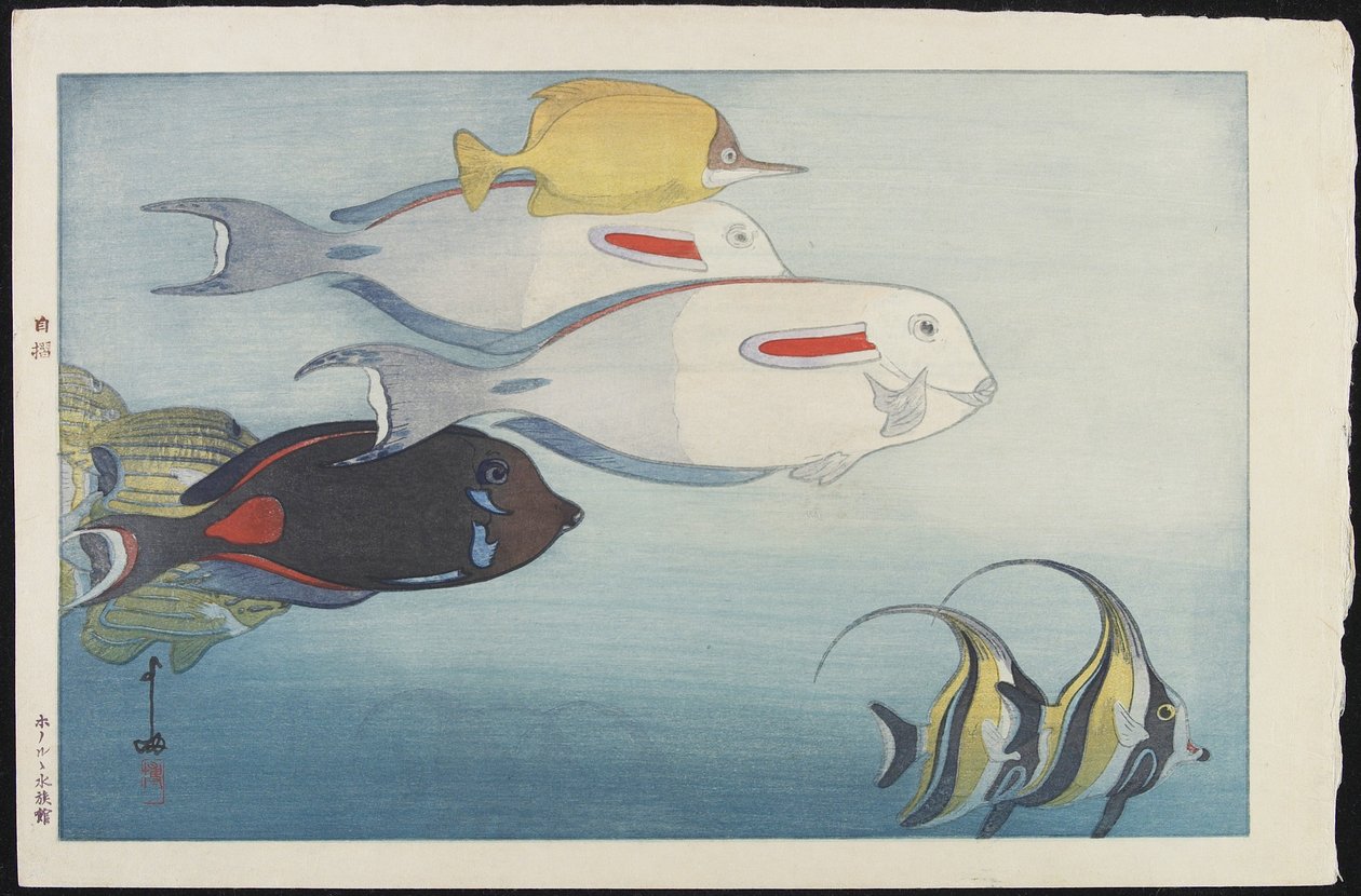 Het Honolulu Aquarium door Hiroshi Yoshida