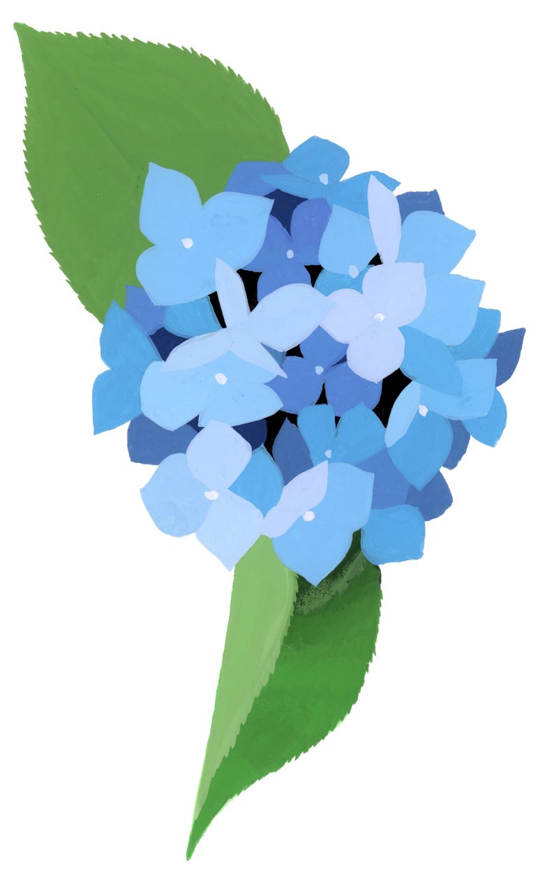 Hortensia door Hiroyuki Izutsu