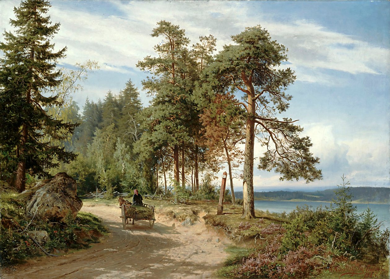 Weg in Finland door Hjalmar Munsterhjelm