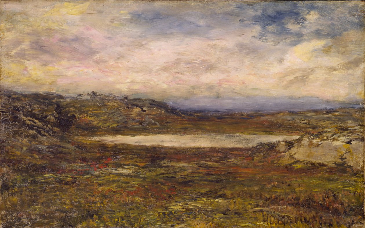 Wilde Kust, Newport, ca. 1885-1895 door Homer Dodge Martin