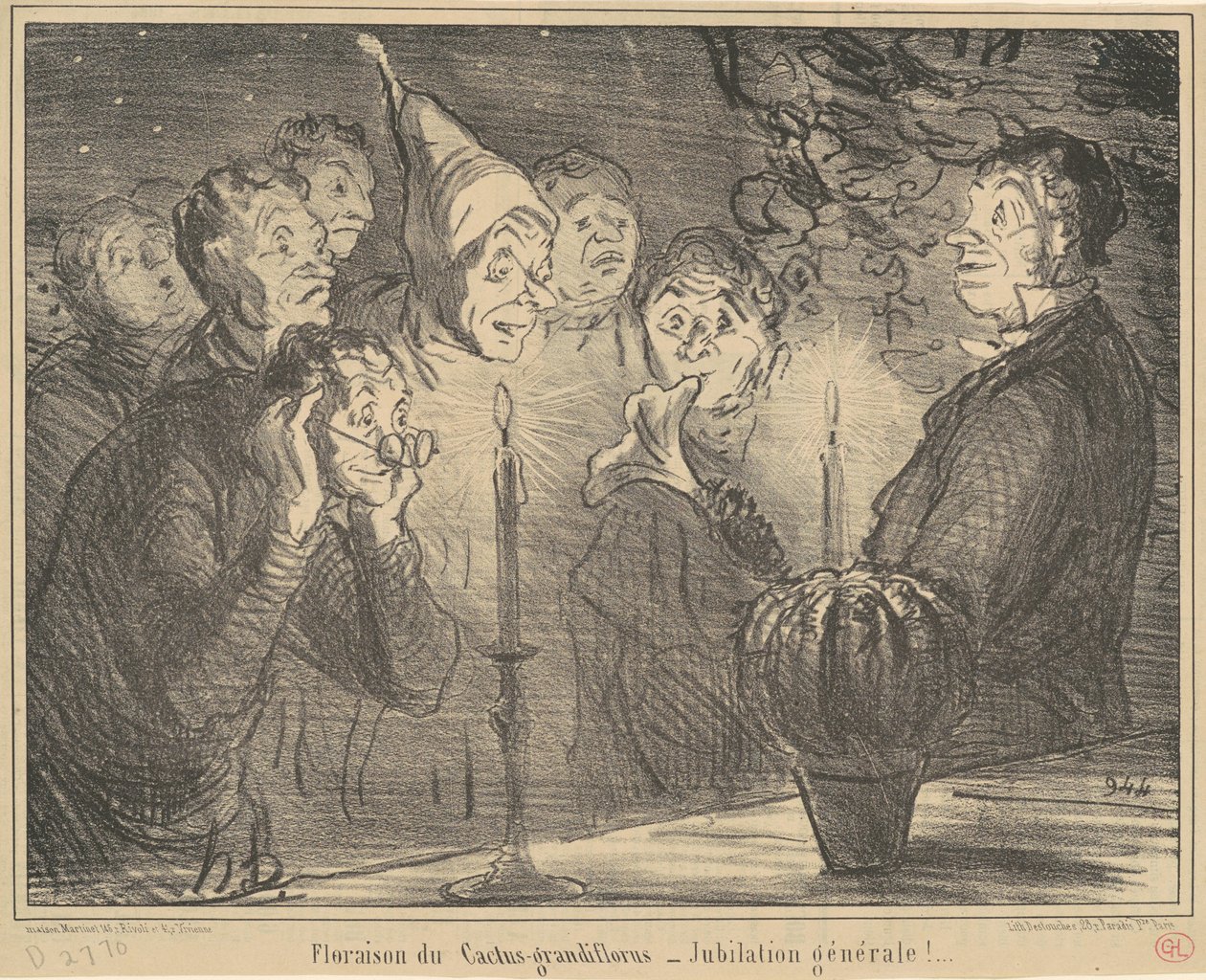 Bloei van de Cactus-grandiflorus... door Honoré Daumier