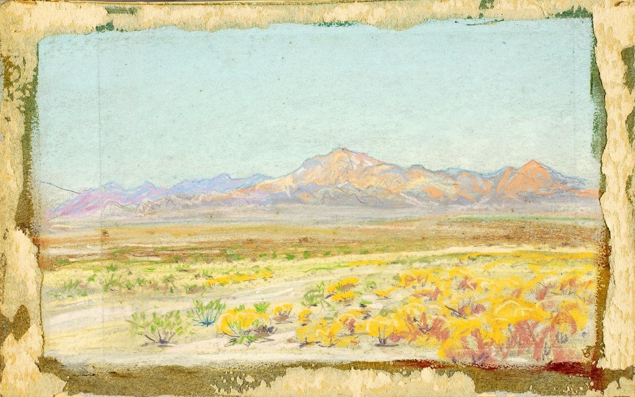 Woestijnlandschap (#69) door Howard Russell Butler