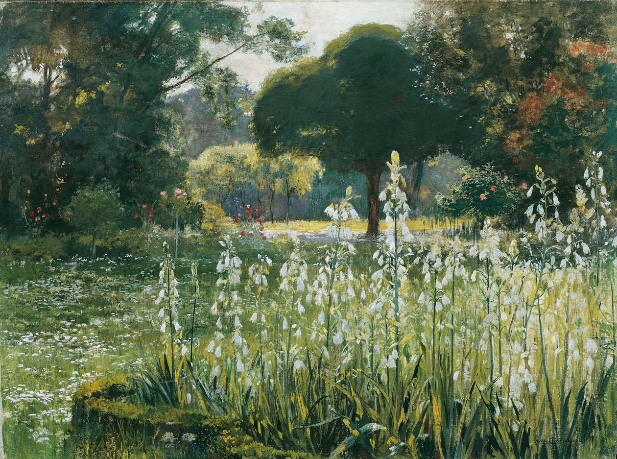 Zomerhyacinten (Galtonia) door Hugo Charlemont