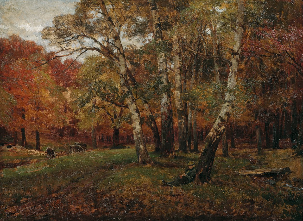 Landschap met berken door Hugo Darnaut