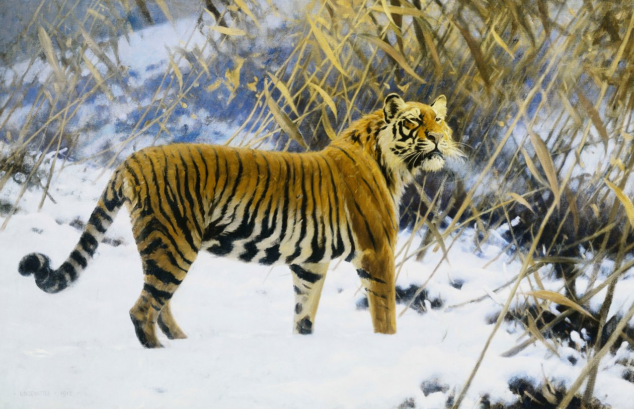 Tijger in een Winterlandschap door Hugo Ungewitter