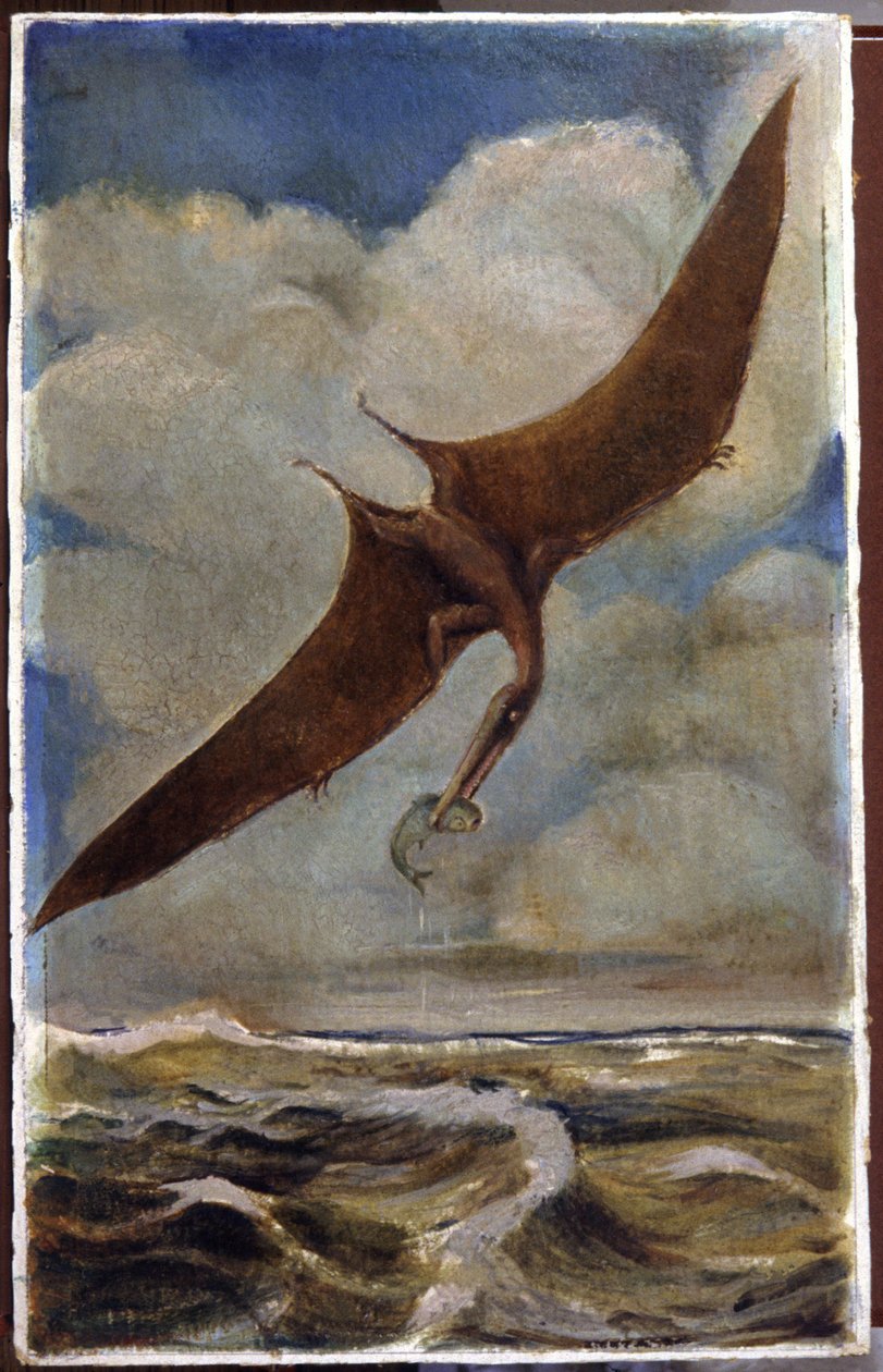 Een pterodactylus. c.1880 door Hungarian School