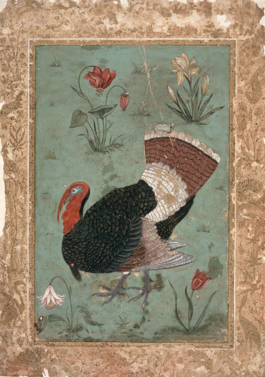 Turkije, Mughal (kleur op lichtgroene ondergrond) door Indian School