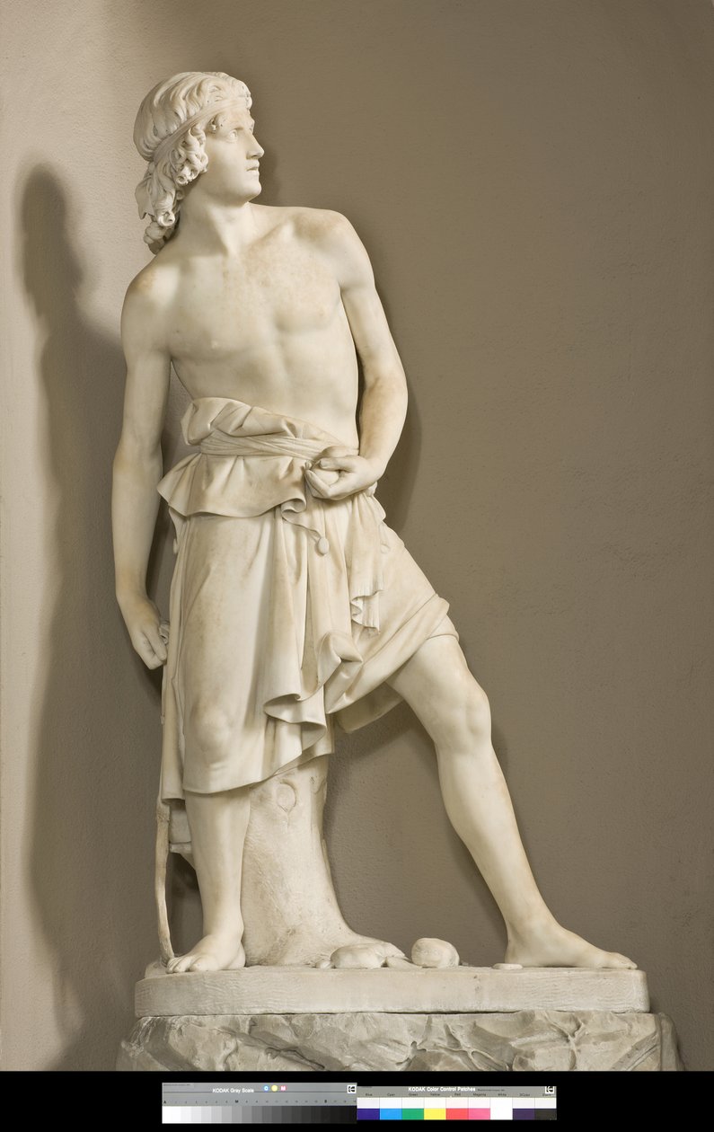 David met de slinger, 1858 door Innocenzo Fraccaroli