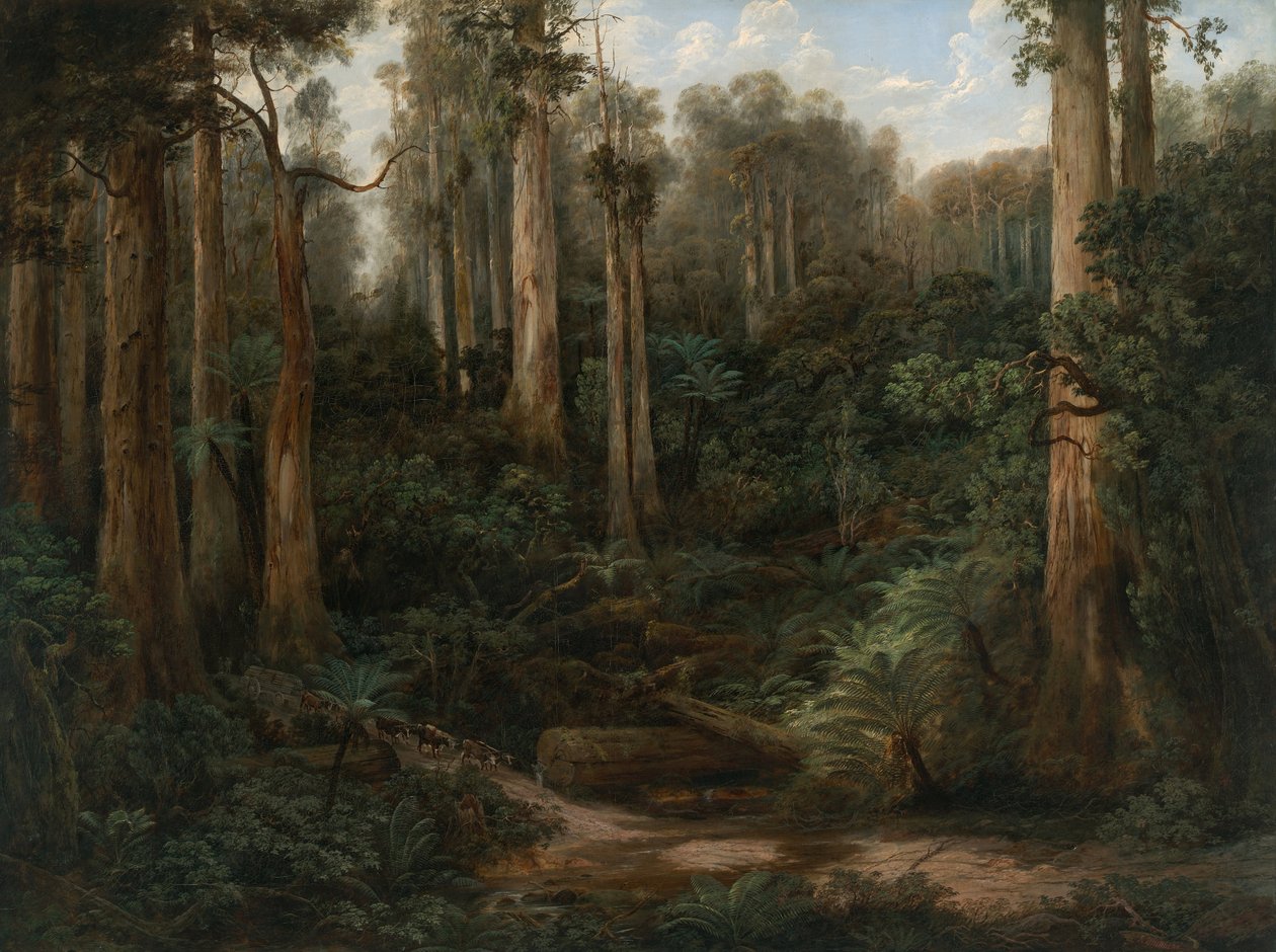 Een Sassafras Kloof, Gippsland door Isaac Whitehead