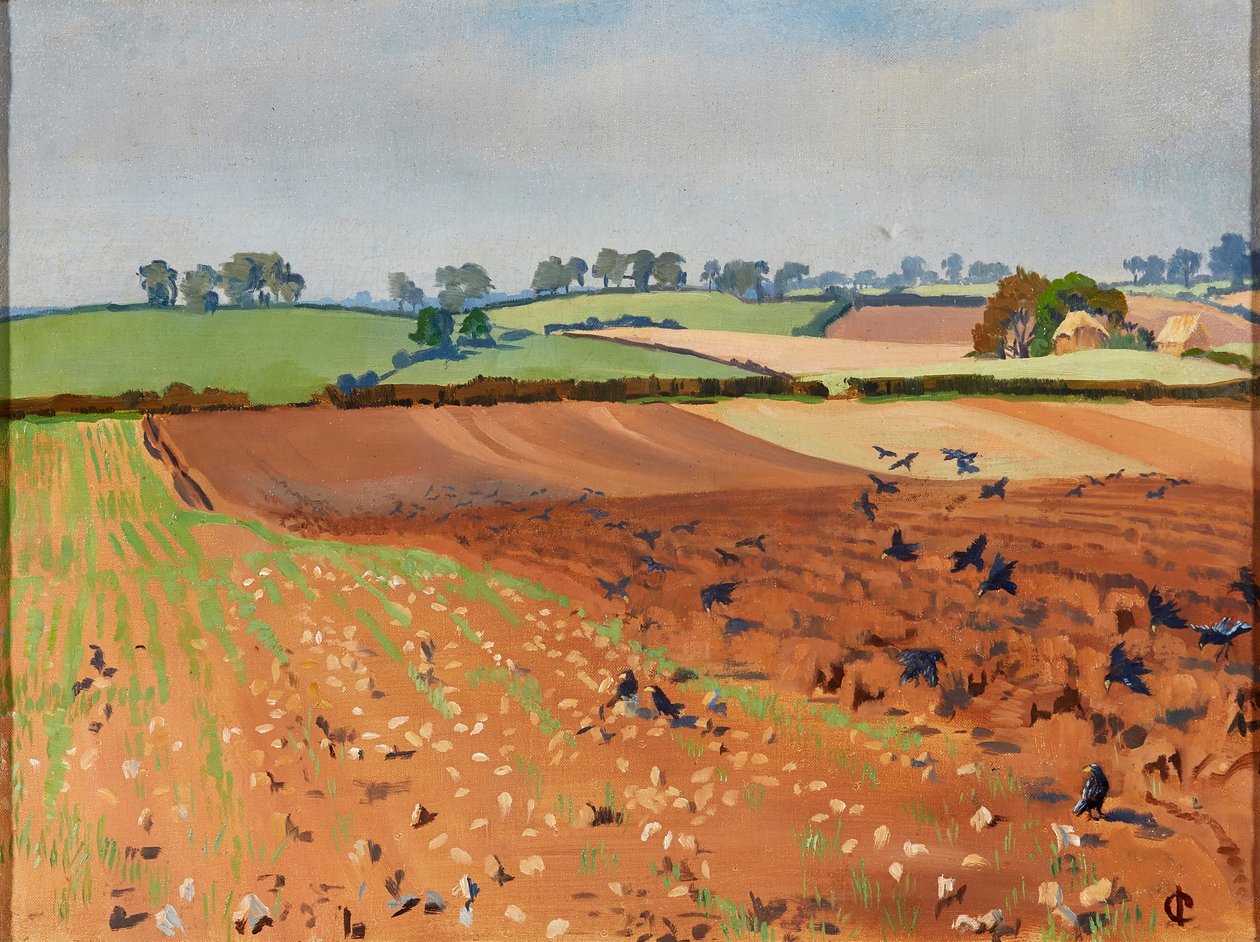 Geploegd Veld door Isabel Codrington