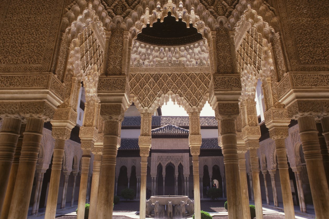 De Hof van de Leeuwen door Islamic School