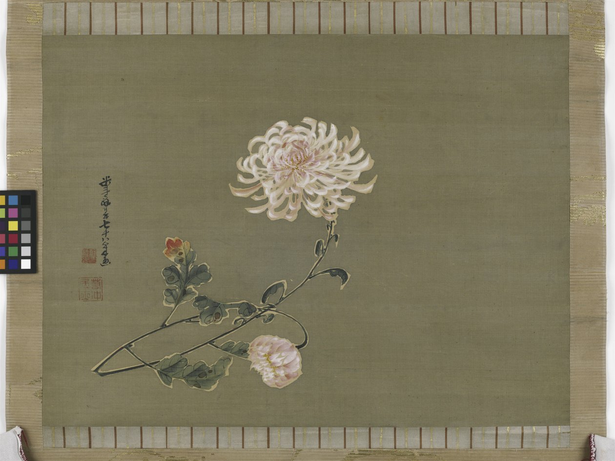 Chrysant, Edo Periode door Ito Jakuchu