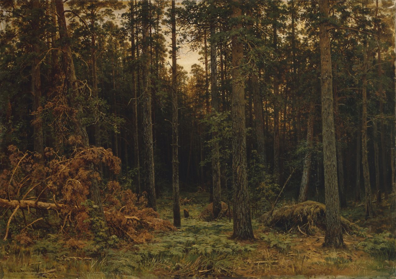 Pijnboombos, 1885 door Ivan Ivanovich Shishkin