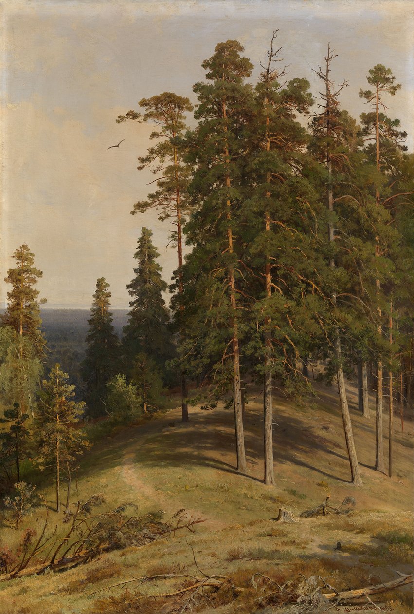Het Pijnboombos, 1895 door Ivan Ivanovich Shishkin