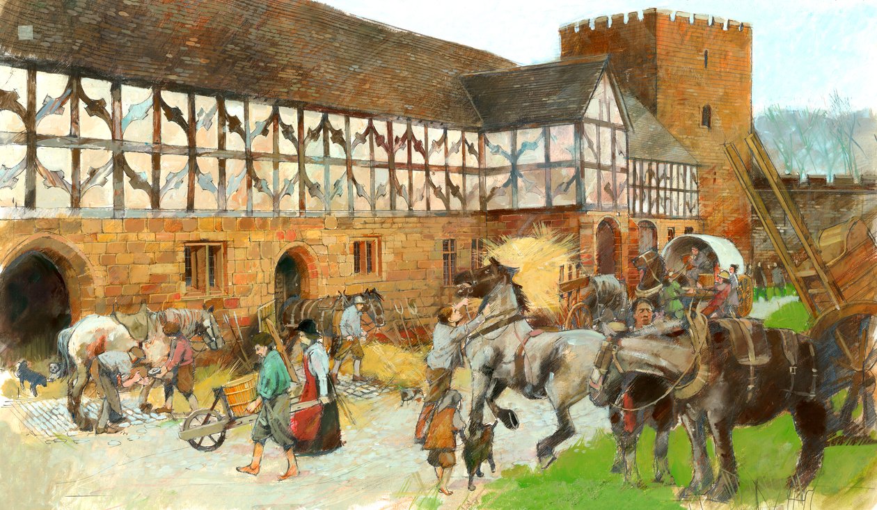 Stallen van Kenilworth Castle door Ivan Lapper