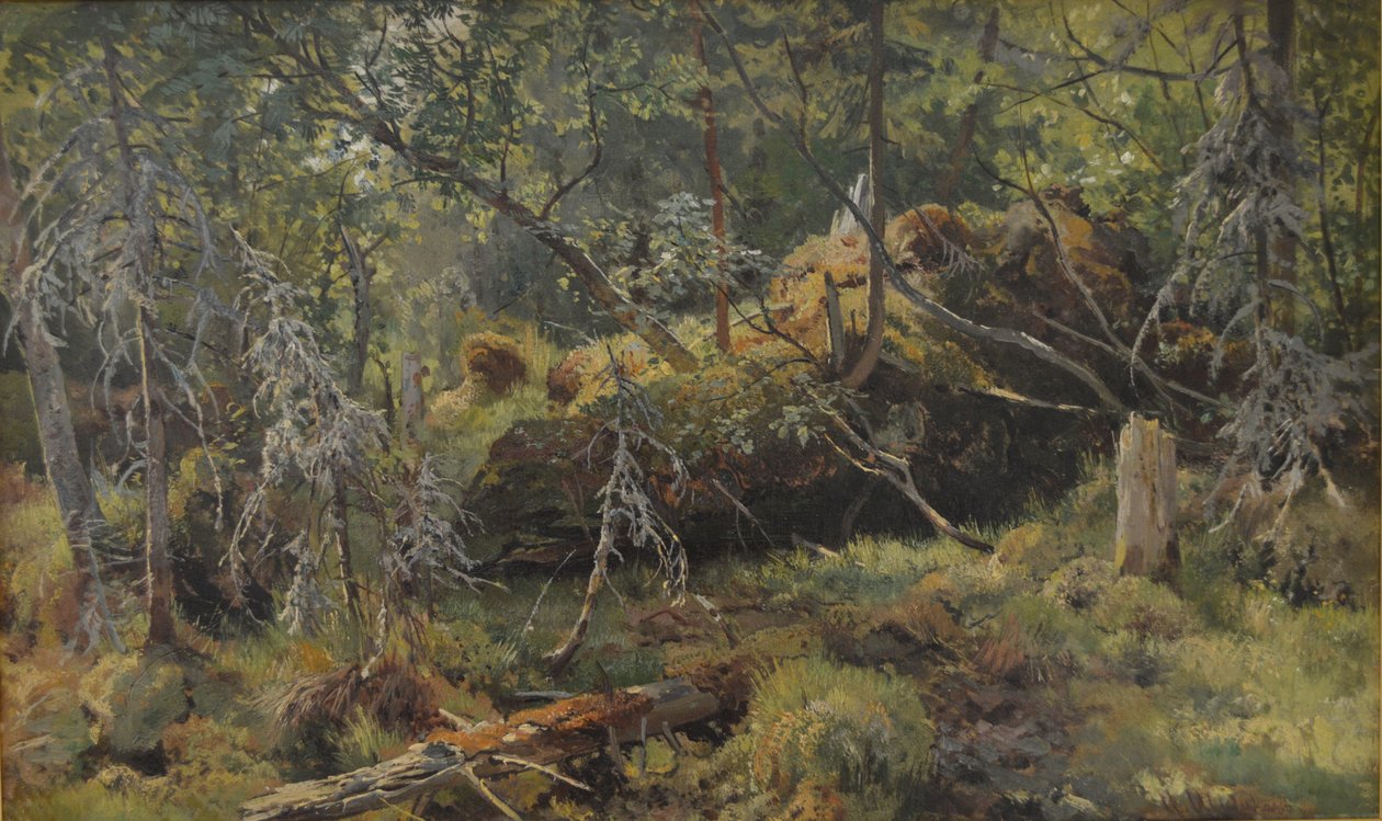 Takken. Een onderzoek door Ivan Ivanovich Shishkin