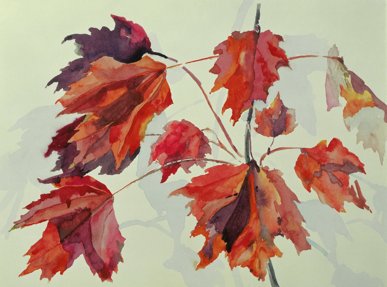 Nr.24 Herfst Esdoornbladeren door Izabella Godlewska de Aranda