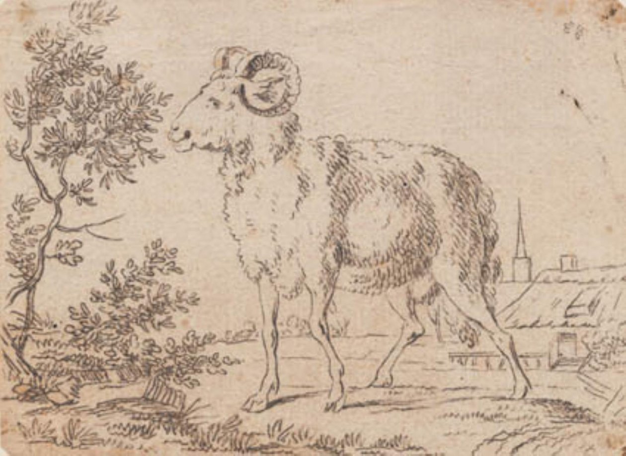 Een ram door J.F. Clemens