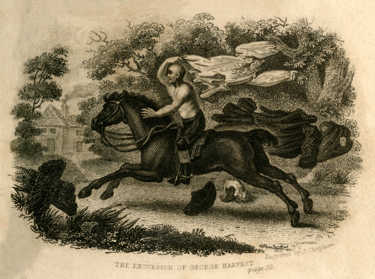 Het uitstapje van George Harvest door J. Chapman