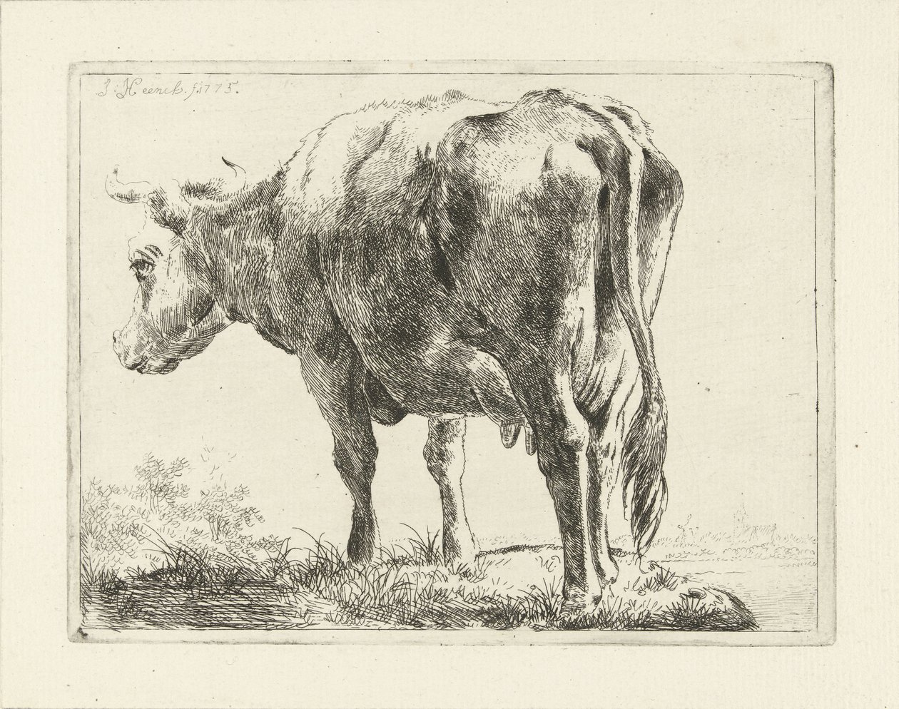 Staande koe door Jabes Heenck