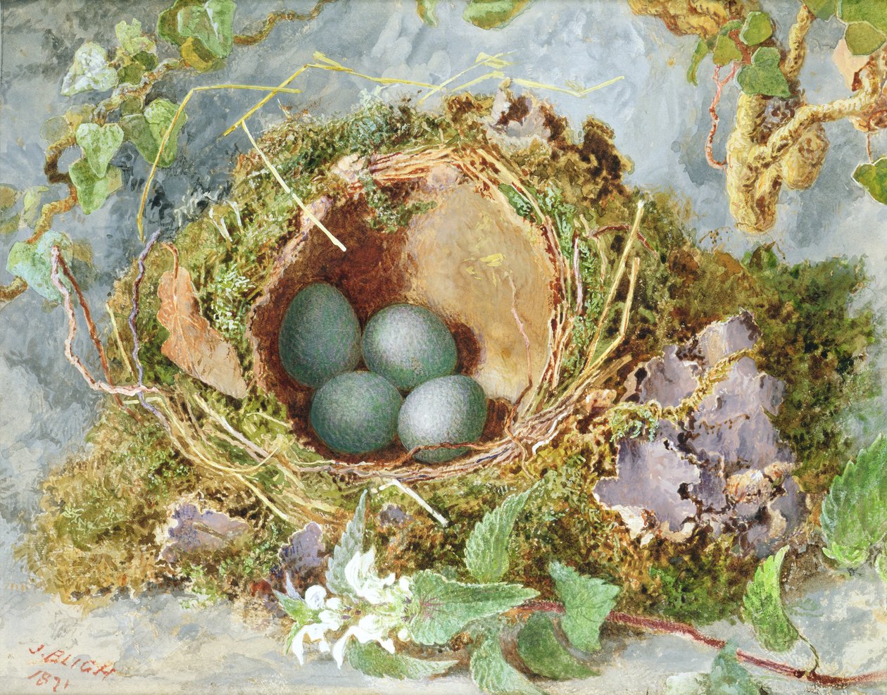Een Nest met Eieren, 1871 door Jabez Bligh
