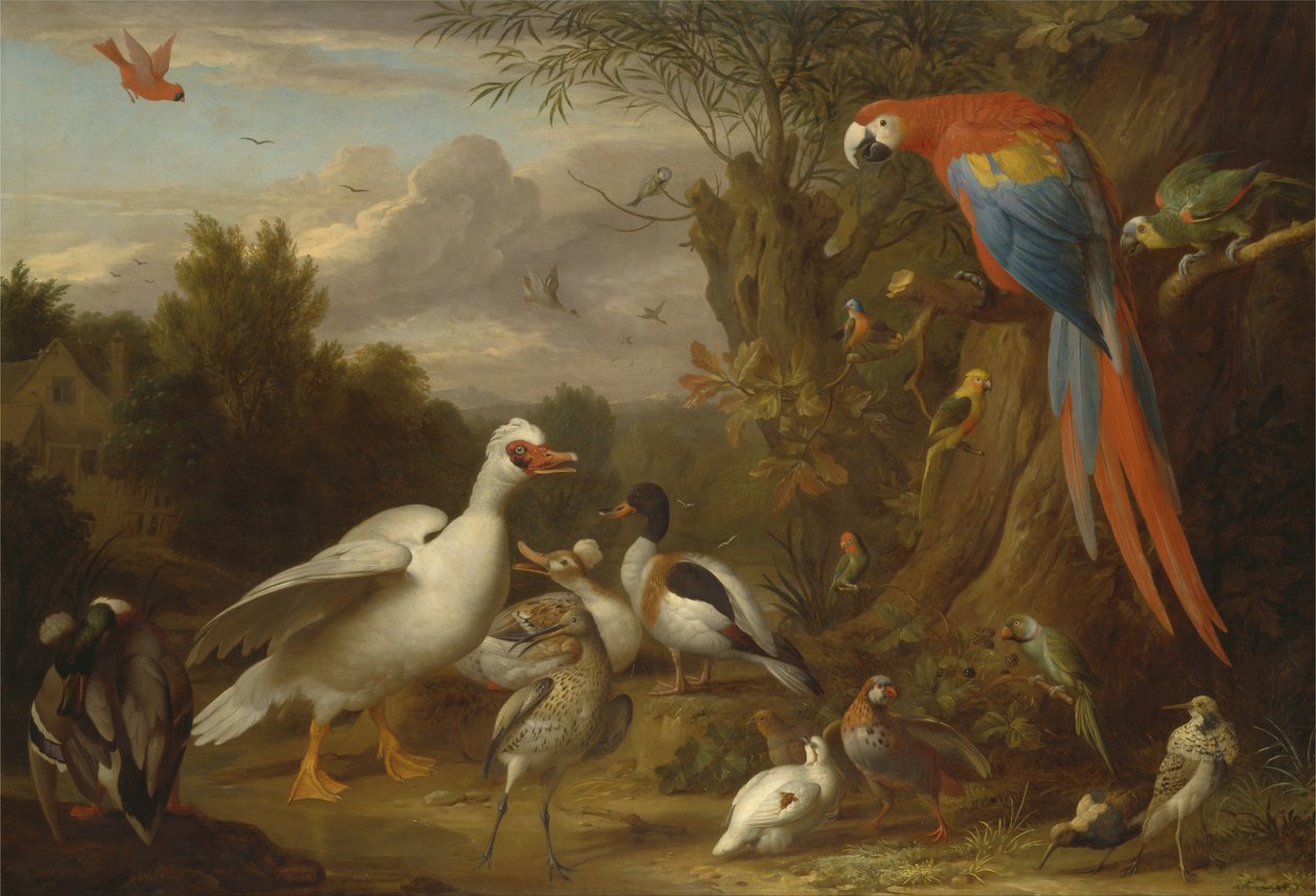 Een Ara, Eenden, Papegaaien en Andere Vogels in een Landschap door Jacob Bogdani