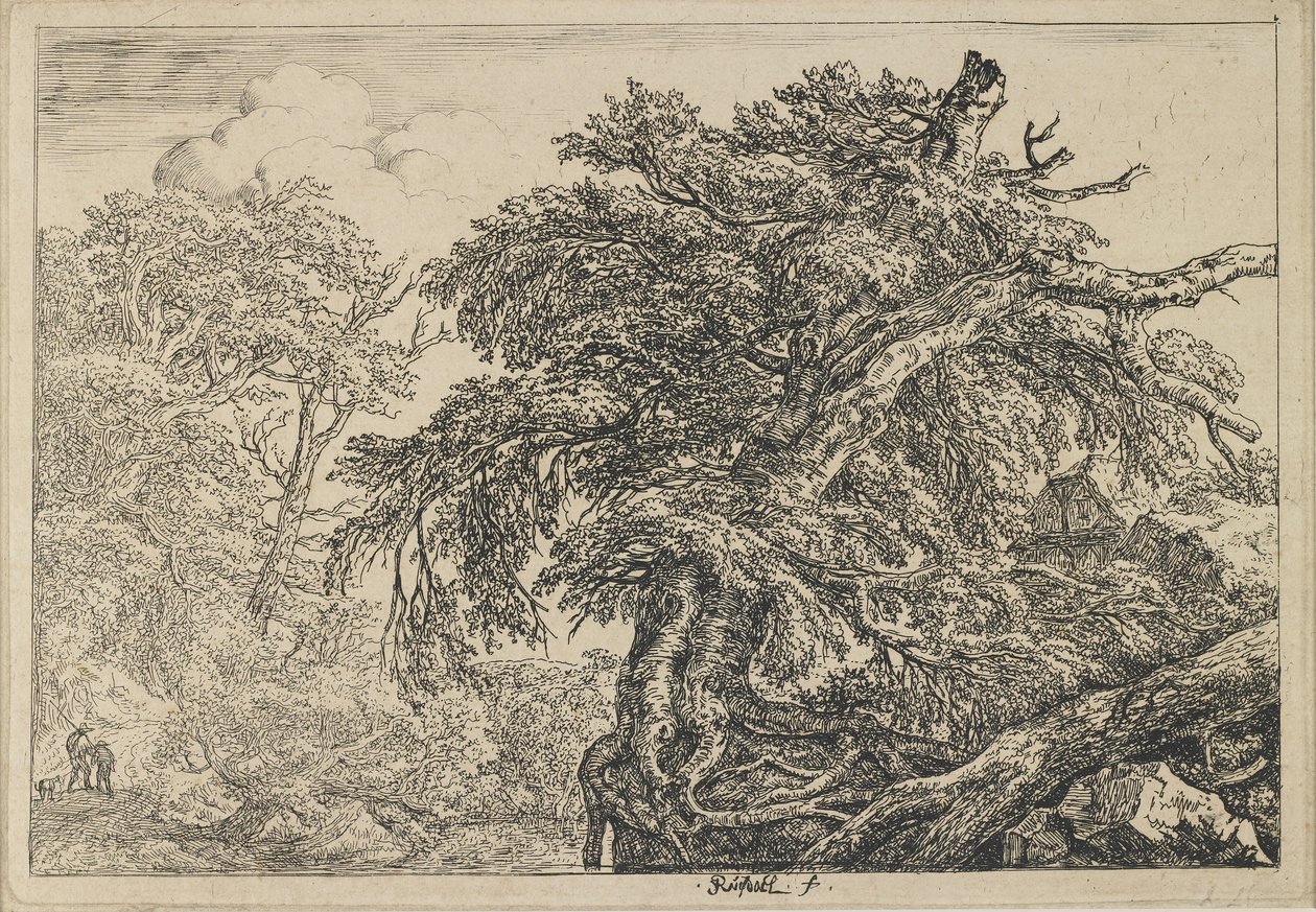 De grote beuk met twee mannen en een hond, ca. 1650-1655 door Jacob van Ruisdael