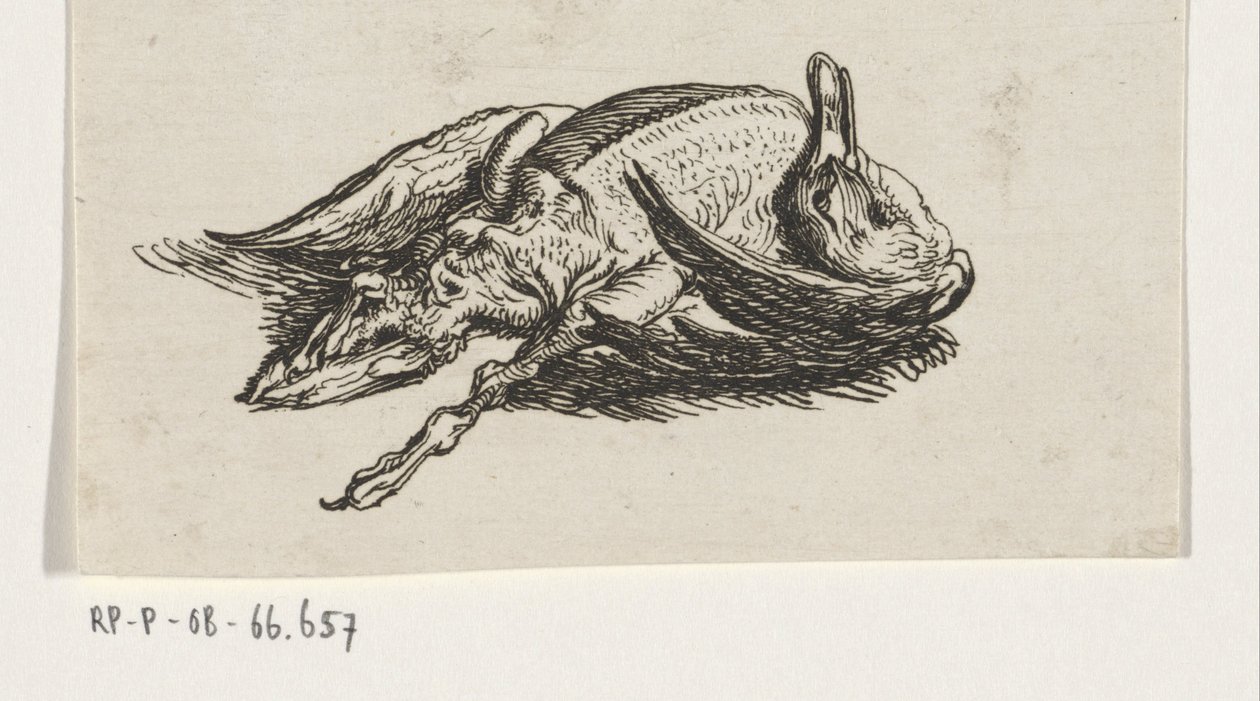 Dode eend door Jacob Elias van Varelen