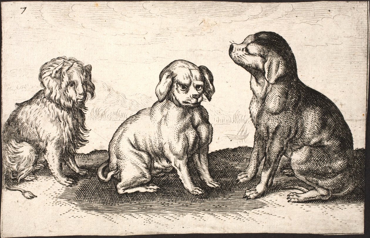 Drie kleine honden door Jacob Matham