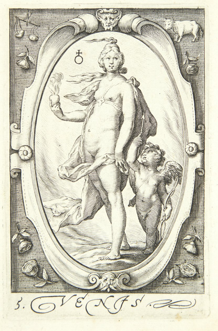 Venus door Jacob Matham