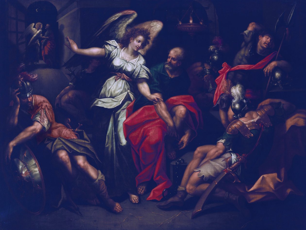 De bevrijding van Sint Pieter door Jacob de Backer
