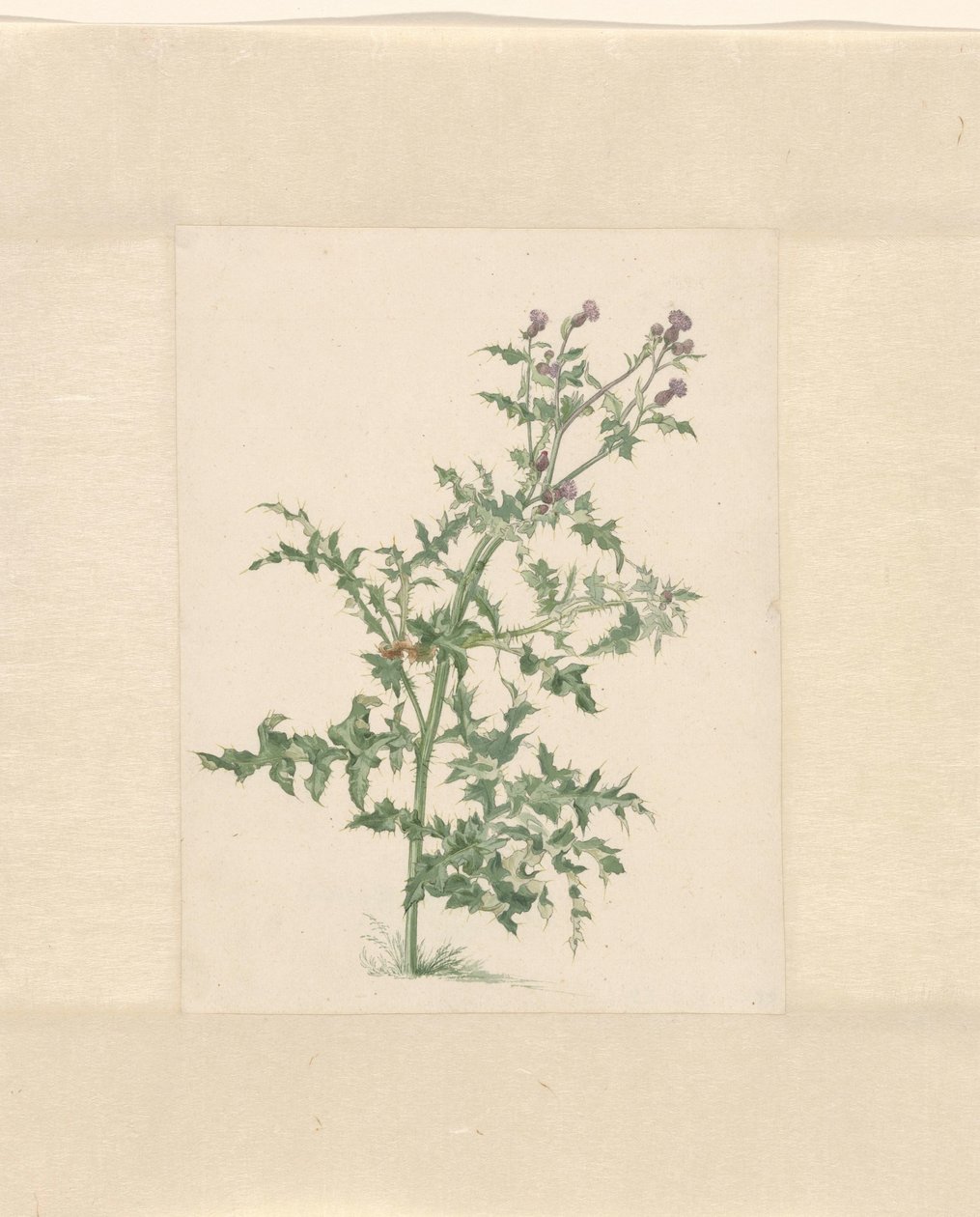 Bloeiende plant door Jacob van Eynden (II)