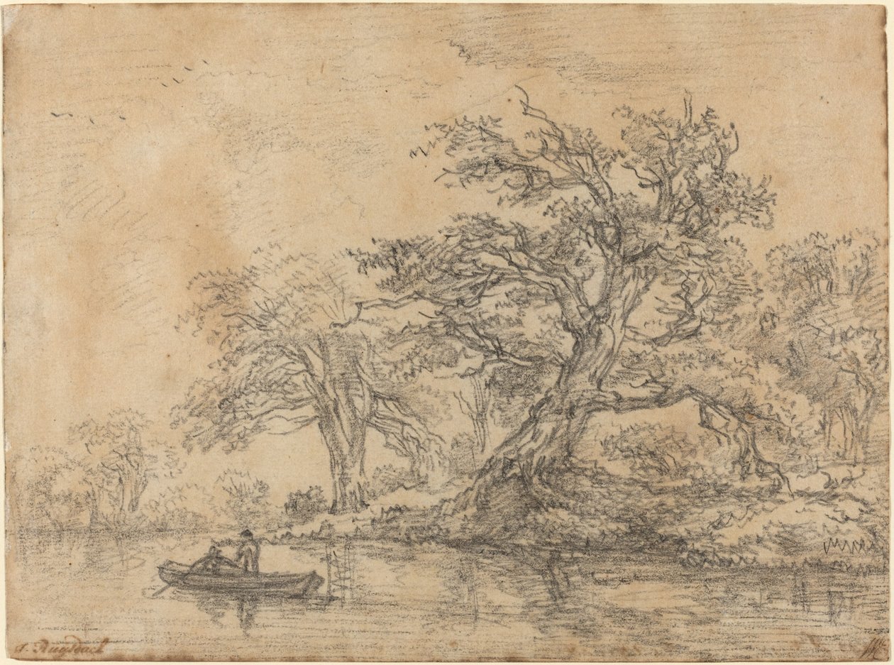 Oude bomen langs een oever door Jacob van Ruisdael
