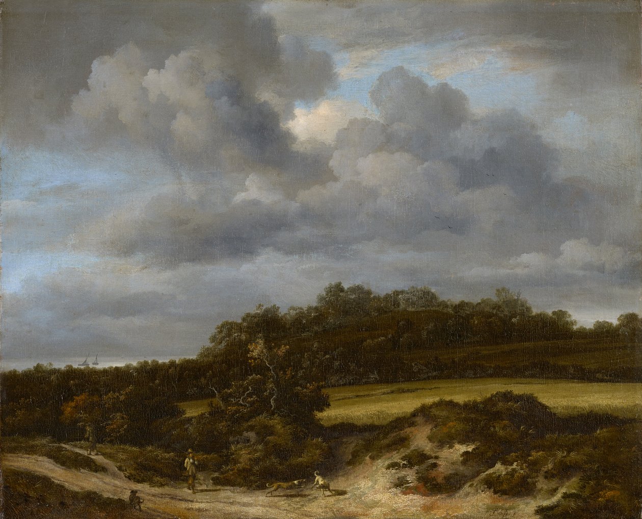 Het maïsveld door Jacob van Ruisdael
