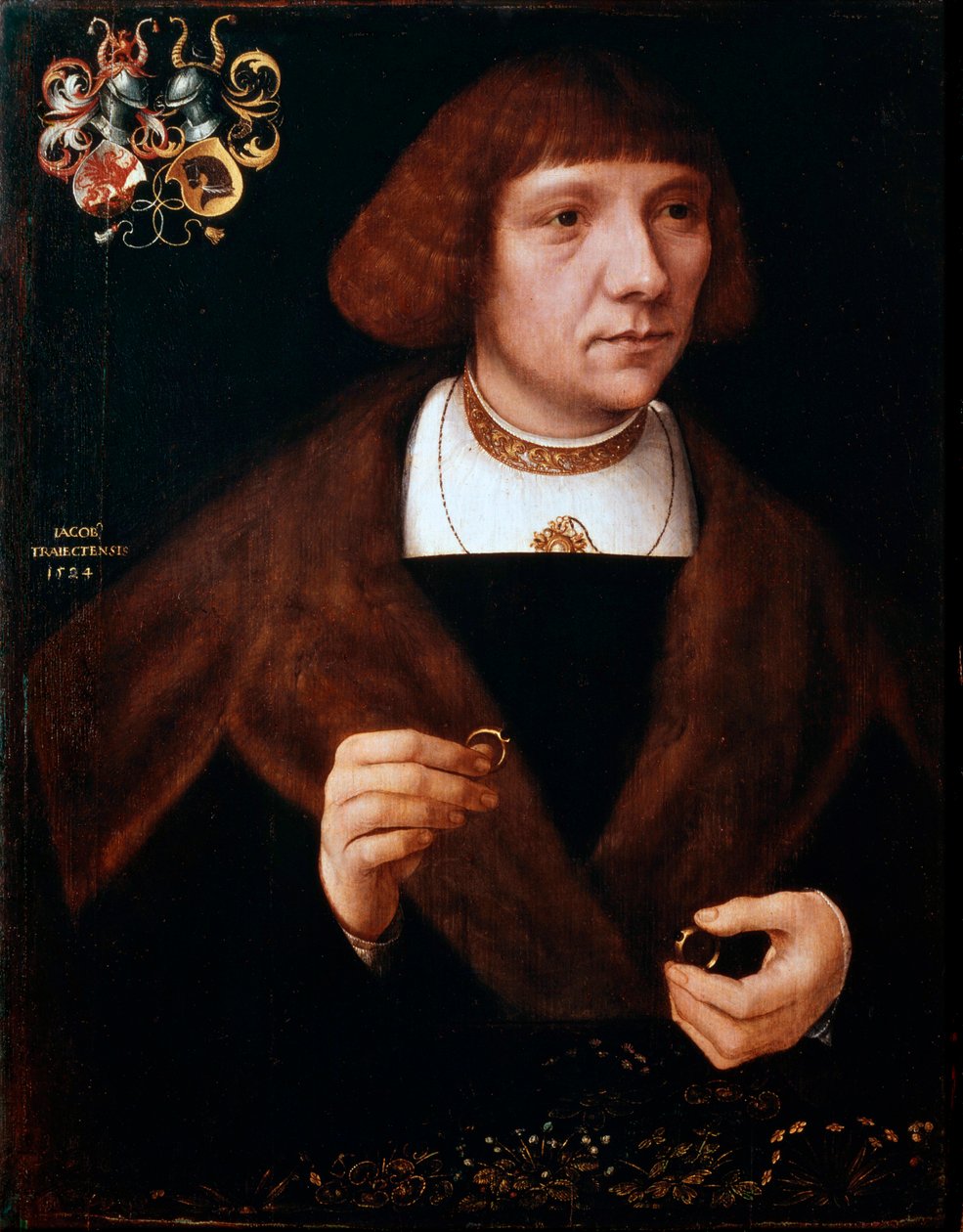 Mannelijk portret met Ringen, 1524 door Jacob van Utrecht
