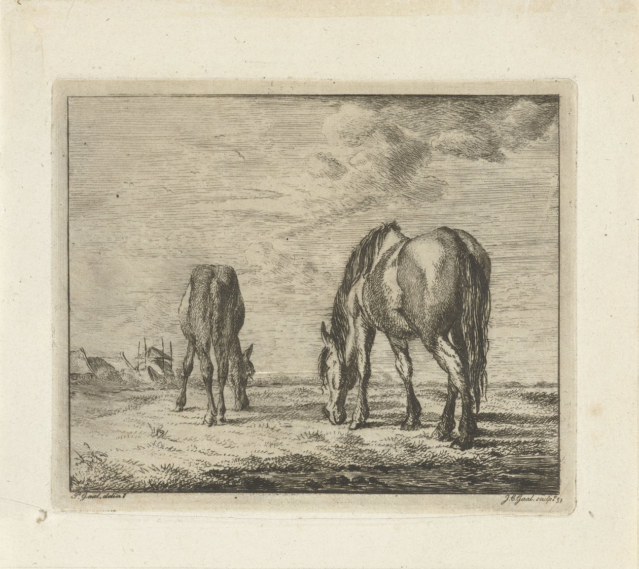 Twee grazende paarden door Jacobus Cornelis Gaal