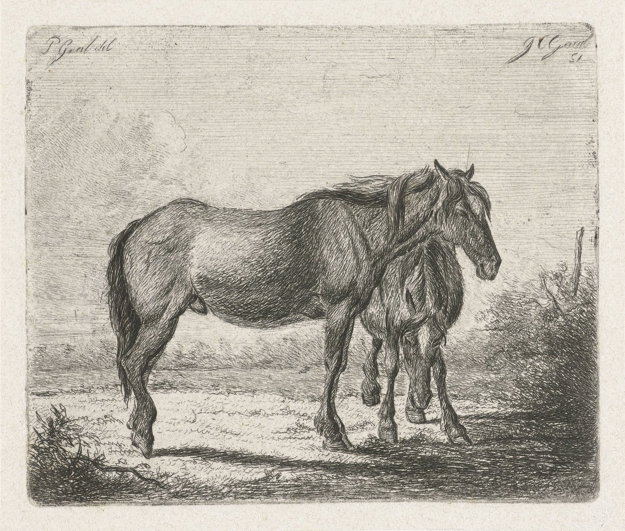 Twee paarden door Jacobus Cornelis Gaal