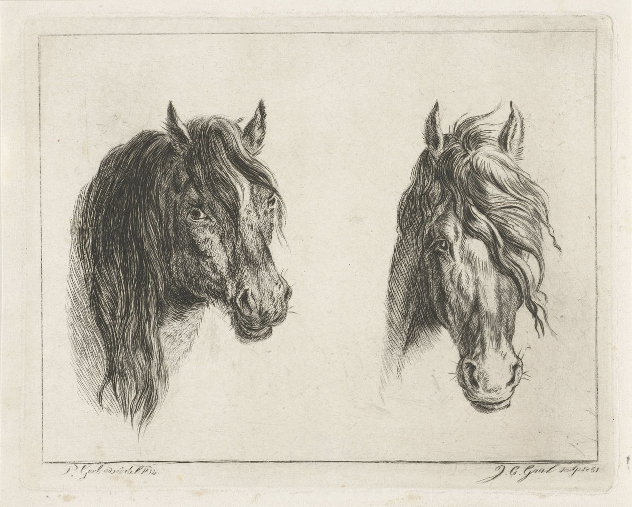 Twee paardenhoofden door Jacobus Cornelis Gaal